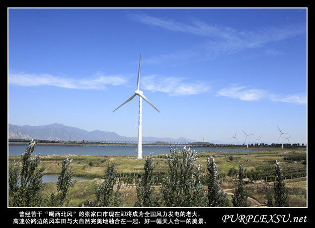 京张高速公路边的风力发电