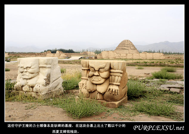 西夏王陵3号陵与驮碑力士雕像